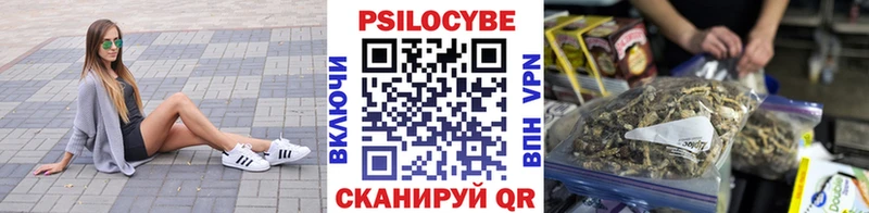 закладки  Юрюзань  Псилоцибиновые грибы прущие грибы 
